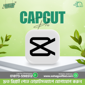 Capcut Pro