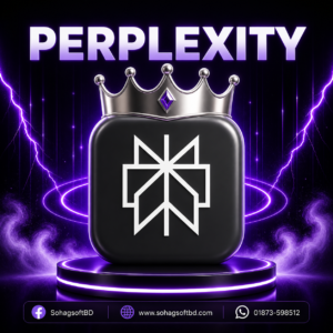 Perplexity Pro