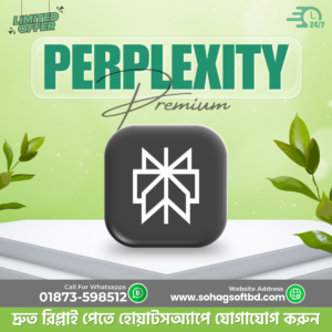 Perplexity Pro